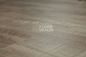 Tarkett Funky House FINN фото 3 | FLOORDEALER